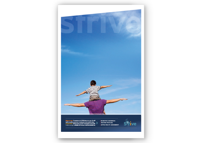 Roman Design: Allegro product brochure design